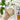 Heat Resistant Tulip Glass Cup with Straw - Clear Coffee and Tea Drinkware - DecorOfficial