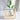 Hydroponic Glass Vase - Indoor Plant Container for Home Decor - DecorOfficial
