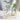 Hydroponic Glass Vase - Indoor Plant Container for Home Decor - DecorOfficial