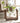 Hydroponic Glass Vase - Indoor Plant Container for Home Decor - DecorOfficial