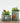 Mini Retro Flower Pots - Decorative Column Planters - DecorOfficial