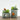 Mini Retro Flower Pots - Decorative Column Planters - DecorOfficial