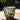 Japanese Ceramic Tea Cup - Kung Fu Espresso Coffee Mug - DecorOfficial