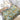 Japanese Cotton Gauze Blanket - Soft Luxury Summer Quilt for Adults - DecorOfficial