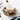 Jungle Secret Tea Cup Set - Exotic Tropical Tea Cups - DecorOfficial