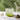 Large-Capacity Heat-Resistant Glass Cup - Cute Design Perfect Gift - DecorOfficial