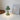 Lotus Leaf LED Night Lamp - Decorative Home Light - DecorOfficial