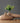 Lucien Decorative Vase Collection - Elegant Home Accents - DecorOfficial
