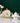 Luxury Bone China Tea Set - Elegant Teapot Cup Set - DecorOfficial