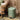 Luxury Lid Trash Can - Large Capacity Kitchen Bathroom Bin - DecorOfficial