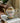 Luxury Porcelain Teapot with Filter - High-Capacity Tea Pot - DecorOfficial
