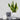 Self-Watering Plant Pot - Decorative Planter with Water Reservoir - DecorOfficial