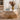 Modern Rustic Coffee Table - Evelyne Timber Living Room Furniture - DecorOfficial