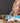 Nutcracker Tool - Versatile Kitchen Gadget for Cracking Nuts Seafood Shells - DecorOfficial