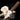 Oyster Knife with Wooden Handle for Easy Seafood Shucking - DecorOfficial