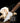 Oyster Knife with Wooden Handle for Easy Seafood Shucking - DecorOfficial