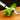 Pepper Corer Knife - Melon and Cucumber Seed Remover - DecorOfficial