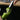 Pepper Corer Knife - Melon and Cucumber Seed Remover - DecorOfficial