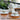 Pink Camellia Ceramic Tea Set - 500ML Teapot with Warmer Cup Saucer - DecorOfficial