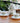 Pink Camellia Ceramic Tea Set - 500ML Teapot with Warmer Cup Saucer - DecorOfficial