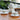 Pink Camellia Ceramic Tea Set - 500ML Teapot with Warmer Cup Saucer - DecorOfficial