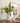 Pleated Ceramic Vase - Elegant Home Decor Accent - DecorOfficial