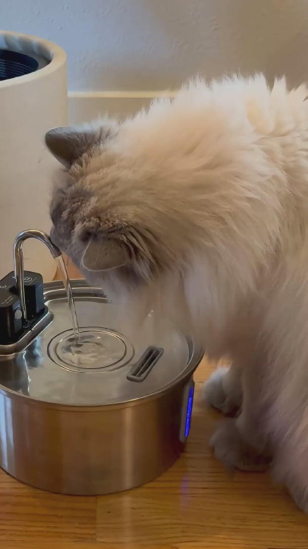 7L Stainless Steel Pet Water Fountain with Wireless Recharging Sensor