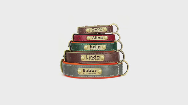 custom dog collar with name and phone number
