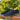 Classic Mens Breathable Knit Shoes - Comfortable Casual Footwear - DecorOfficial