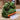 Bored Frog Tissue Box - Cute Frog Tissue Holder - DecorOfficial