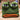 Bored Frog Tissue Box - Cute Frog Tissue Holder - DecorOfficial