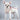 Cozy Dog Leash - Warm Fur Pet Walking Leash - DecorOfficial