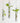 Transparent Iron Wall Hanging Flower Pot - Modern Plant Holder - DecorOfficial