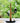 Bird Lamp - Smart Chargeable Atmosphere Decor Light - DecorOfficial