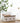 Nordic Wooden Tissue Box - Stylish Home Decor - DecorOfficial