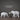 Modern Elephant Statue - Elegant Resin Decor - DecorOfficial