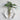 Hydroponic Wall Vases - Decorative Glass Plant Holders - DecorOfficial