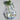 Hydroponic Wall Vases - Decorative Glass Plant Holders - DecorOfficial