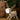 Cute Deer Night Light - LED Animal Lamp for Kids Rooms - DecorOfficial