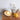 Portable Shell Night Light - Decorative Pearl Lamp - DecorOfficial