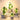 Colorful Cactus LED Night Lamp - Table Decor - DecorOfficial