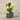 Colorful Cactus LED Night Lamp - Table Decor - DecorOfficial