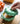 Pumpkin Baking Bowl with Glazed Lid - Fall Kitchen Decor - DecorOfficial