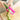 Spiral Fruit and Vegetable Peeler - Easy to Use Kitchen Tool - DecorOfficial