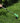 Handheld Lawn Mower - Lightweight Portable Grass Cutter - DecorOfficial