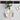 Hydroponic Wall Vases - Decorative Glass Plant Holders - DecorOfficial