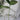 Hydroponic Wall Vases - Decorative Glass Plant Holders - DecorOfficial