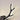 Deer Antler Wall Lamp with Motion Sensor - Creative Home Decor Lighting - DecorOfficial