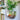 Wall Mounted Fish Tank Flower Vase - Transparent Aquarium Decor - DecorOfficial