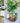 Wall Mounted Fish Tank Flower Vase - Transparent Aquarium Decor - DecorOfficial